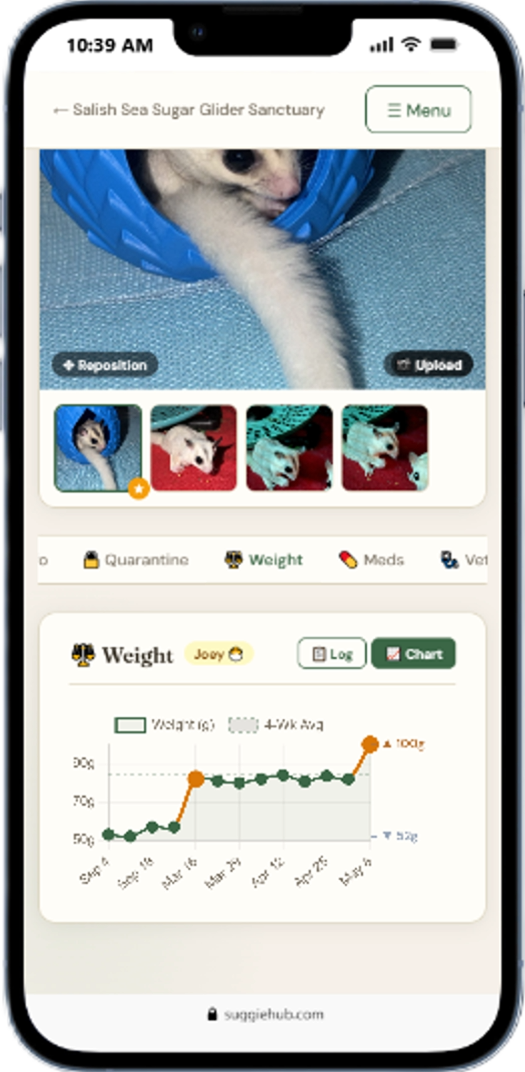 Weight chart