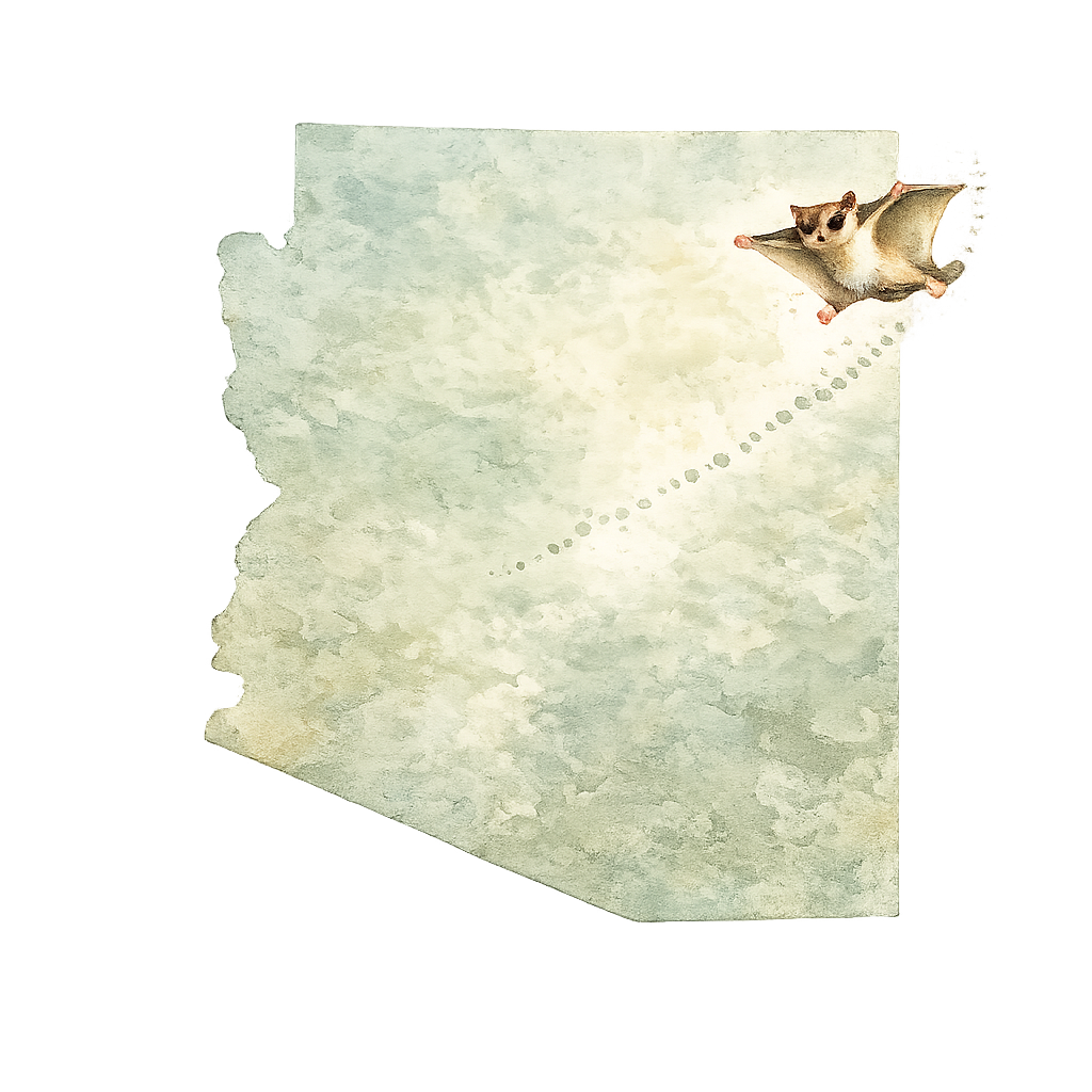 Arizona